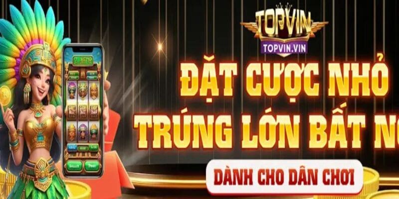 topvin