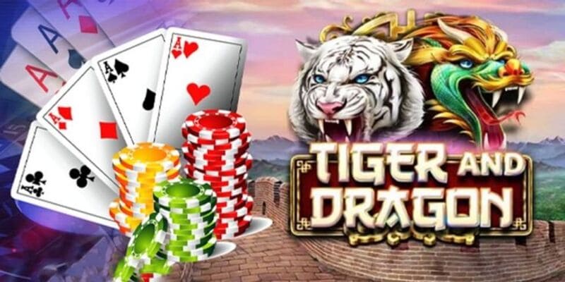 Hướng dẫn chơi rồng hổ