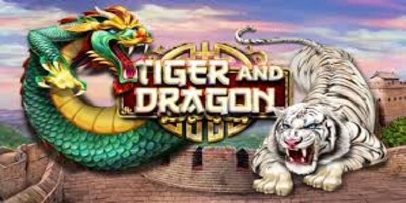 Hướng dẫn chơi rồng hổ